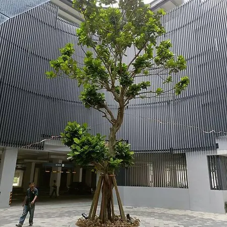 Cozy Sky Trees With Balcony, Smart Tv , Aeon & Pool Apartment Johor Bahru Exterior photo
